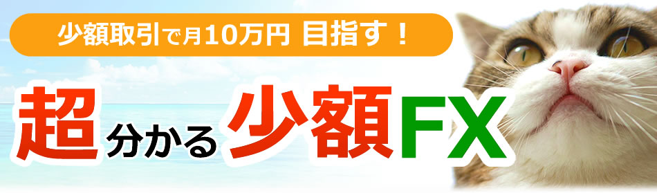 現役トレーダーが調査!FX口座 完全明快